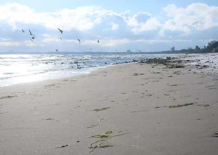 Breitengross Apartamento